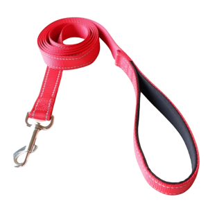 Reflective Nylon Dog Leash with Soft Padded Handle - Pet City Shop