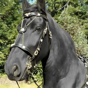 PU Leather Horse Halter with Matching Lead Rope – Comfortable, Ergonomic Design with Metal Buckles | Premium Equine Control Gear